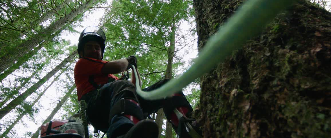 A man propels down a tree in a forest