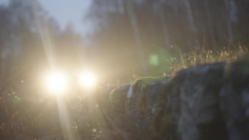 Suv with lit headlights drives over icy ground past forest of leafless trees