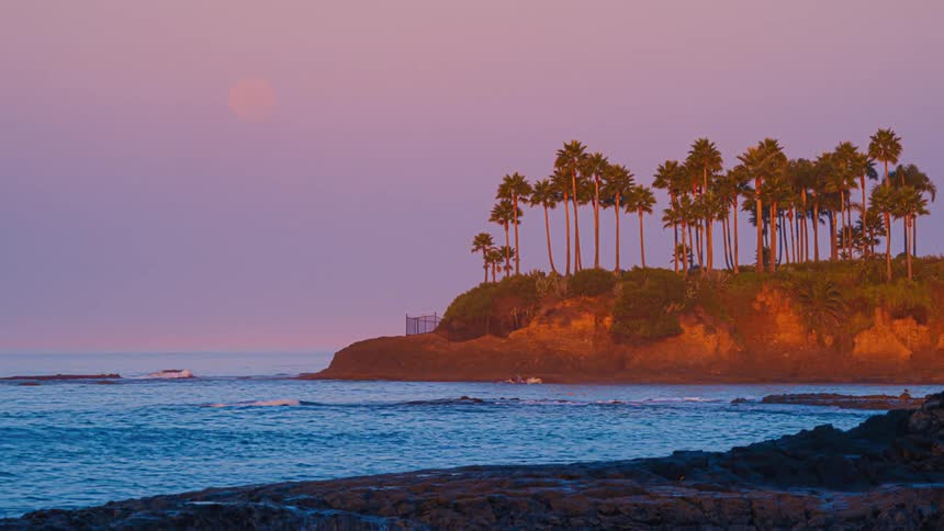 Palm trees on the top of a hill next to ocean waves going up on a shoreline at sunset