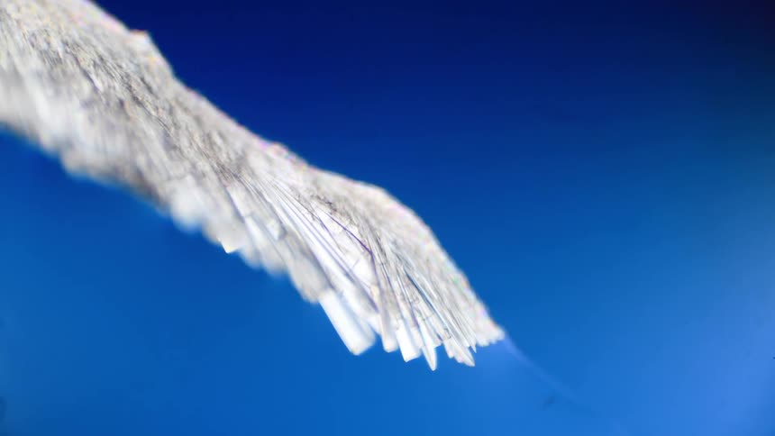 Against a blue background a white material spreads and crystallizes