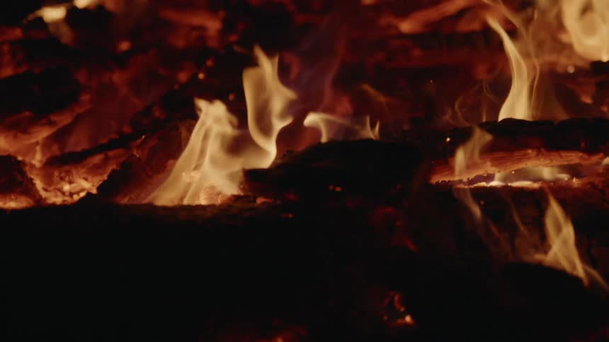 Wood burns with flames jumping and embers glowing
