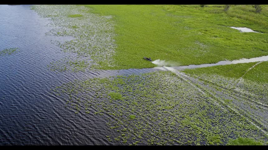 A boat moves through a marshy body of water during the day