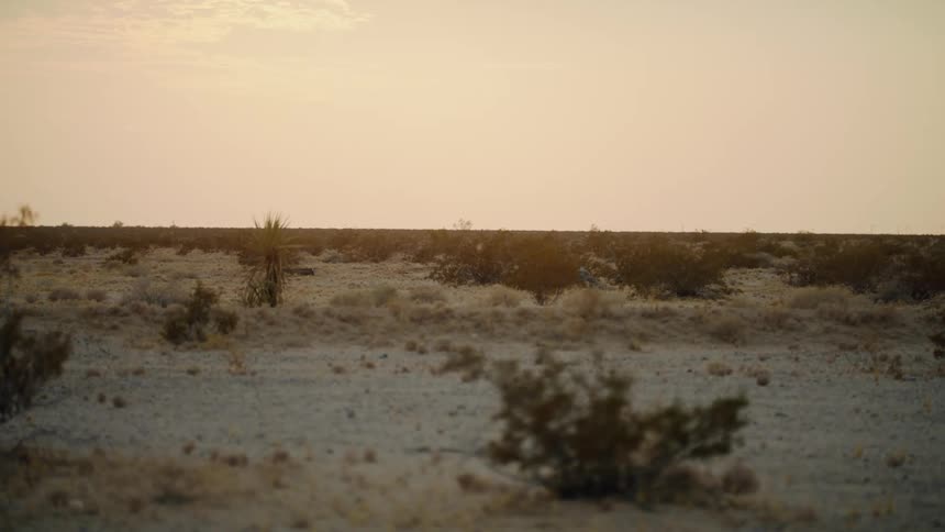 Desert landscape with little sun with sand and bushes