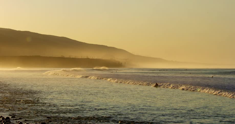 A group of surfers swims while the ocean waves break against the shore at dusk