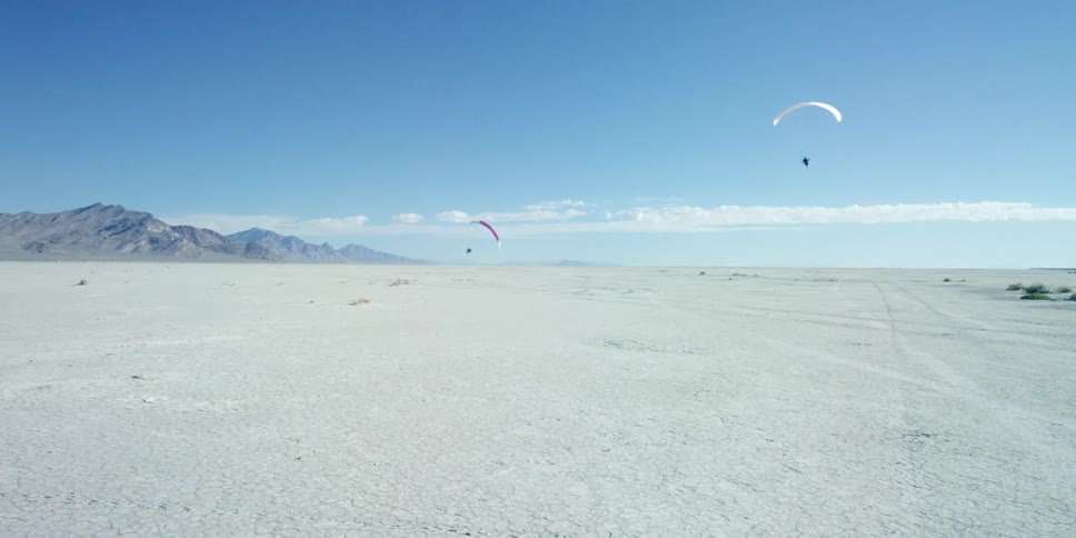 People flying with paramotors