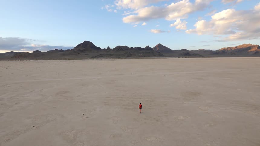 Person walking across a desolate plain