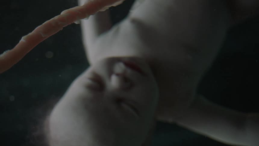 A fetus is shown in a mothers womb