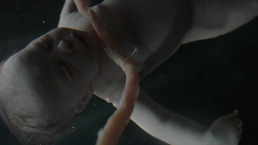 A baby is in liquid with an umbilical cord visible with darkness and light at intervals