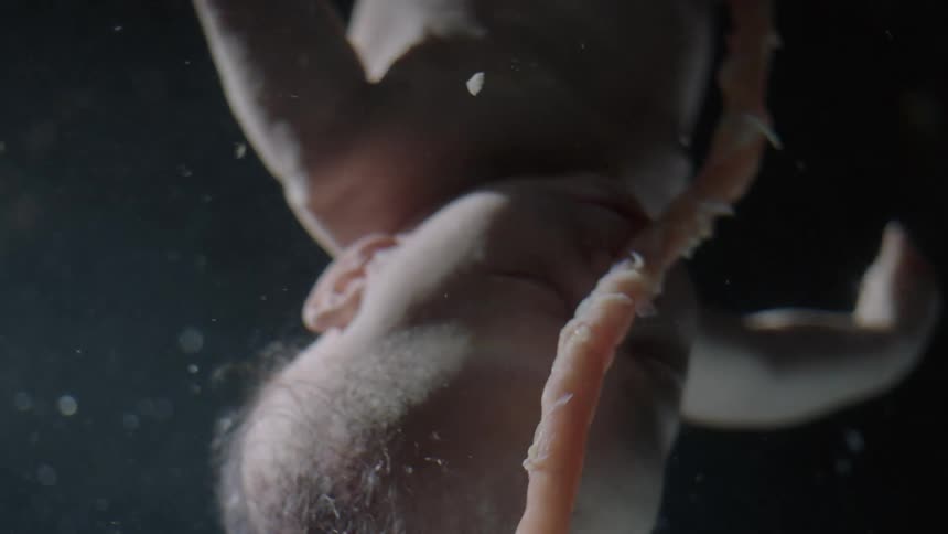 A baby floats in liquid as darkness turns into light