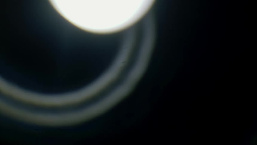 Halo of concentric circles move around bright globe light in darkness