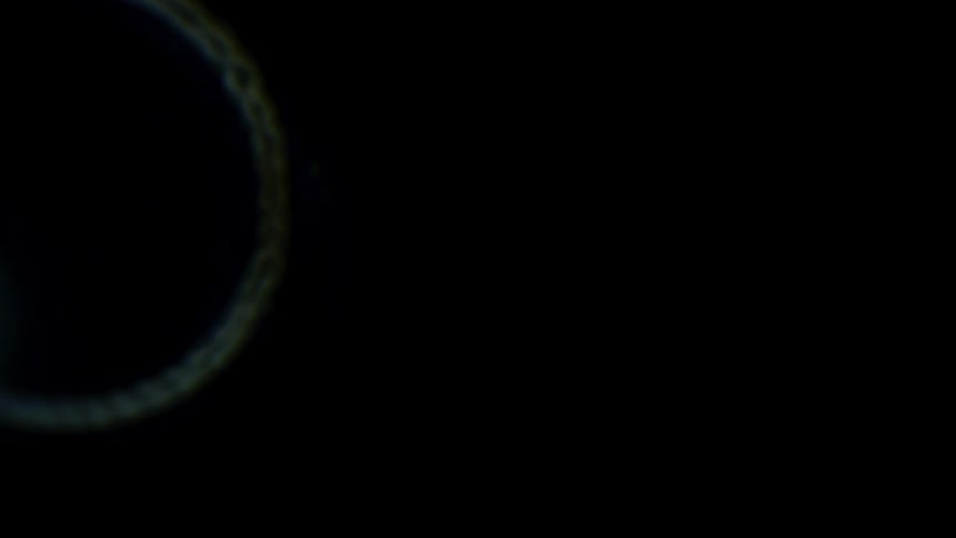 An abstract circle moving on a black background