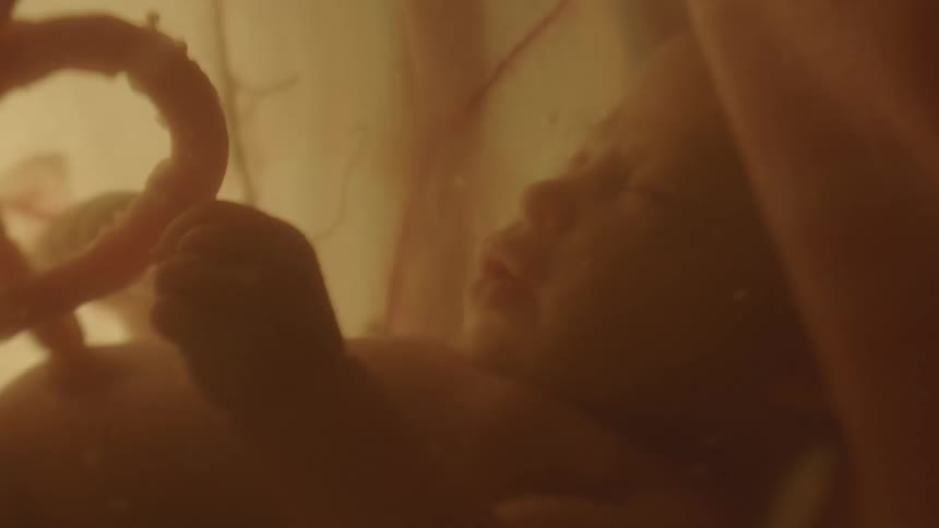 Babys umbilical cord connecting the baby to its mother in the womb
