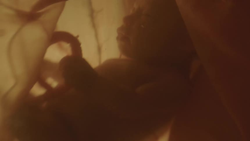 An fetus in the womb hanging on to the umbilical cord