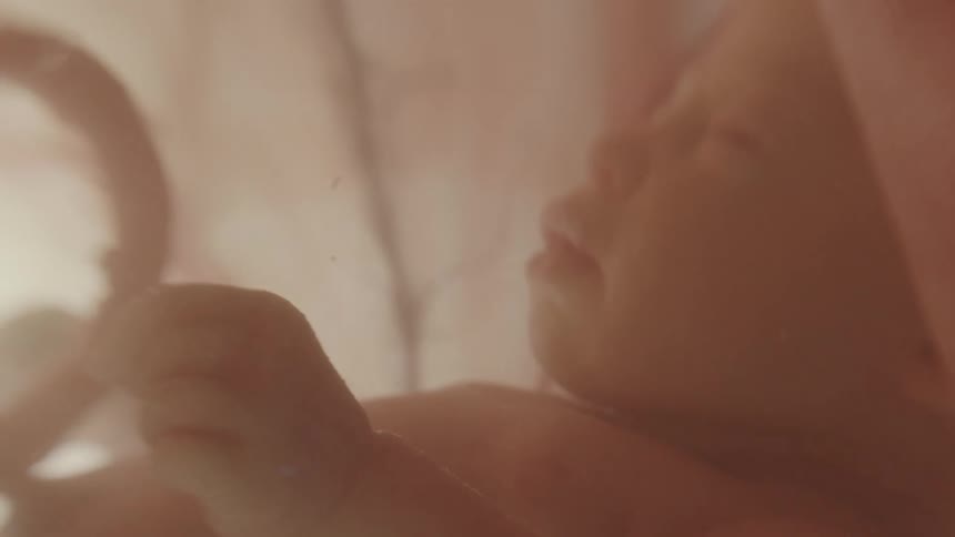 Unborn baby with umbilical cord in the womb