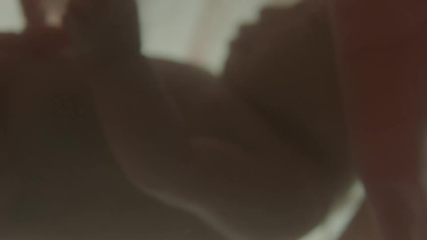 Unborn baby and umbilical cord float in gestational sack back lit by light