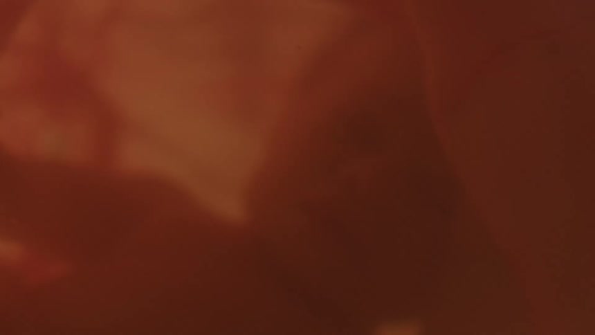 A fetus calmly floats inside of a uterus fulled with amniotic fluid