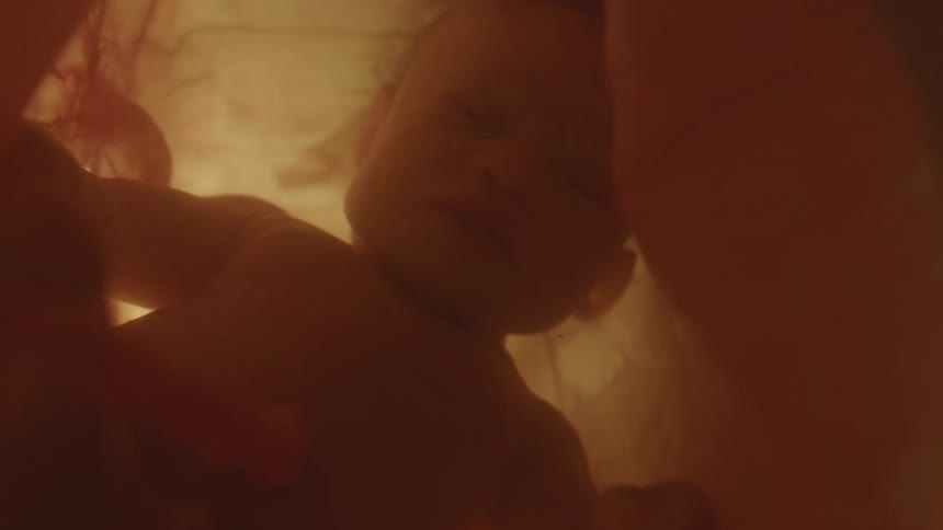A fetus floating in utero