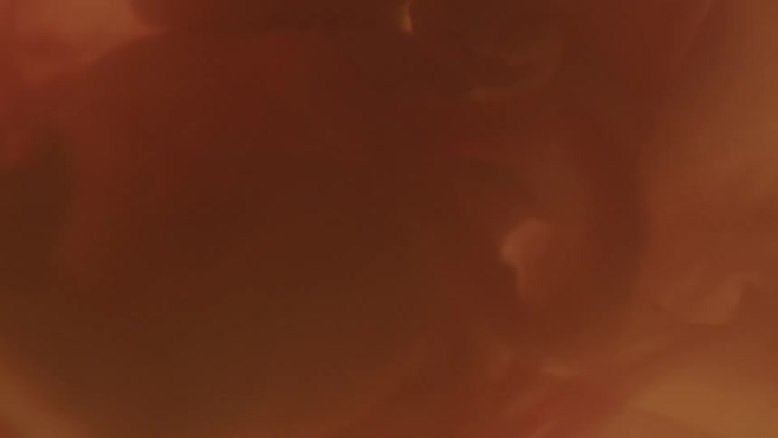 A fetus can be seen floating inside of a uterus full of amniotic fluid