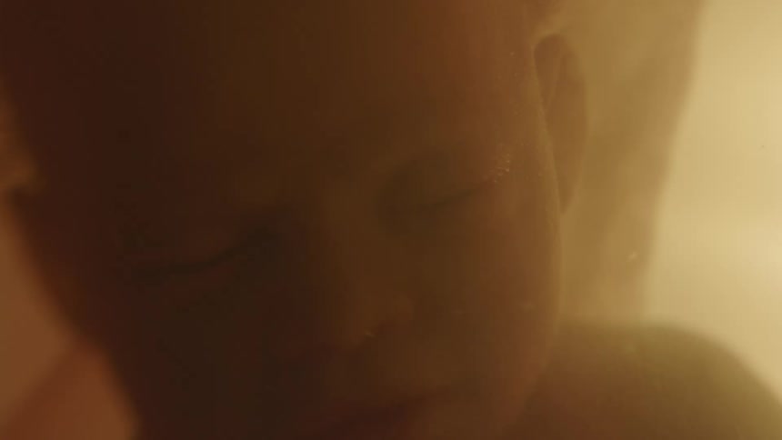 A fetus in the womb