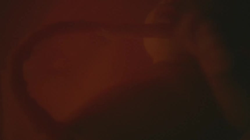 Baby inside a womb