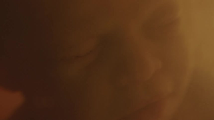 Child inside a womb