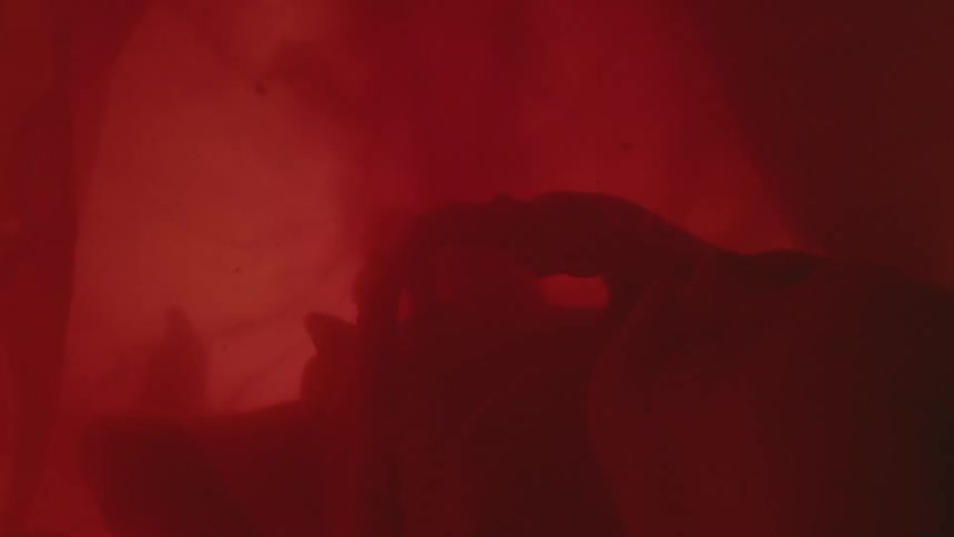 Close up of unborn baby with the umbilical cord in the womb