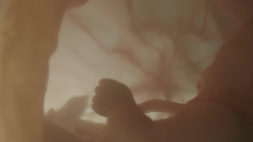 A fetus gently floats around inside of a uterus filled with amniotic fluid