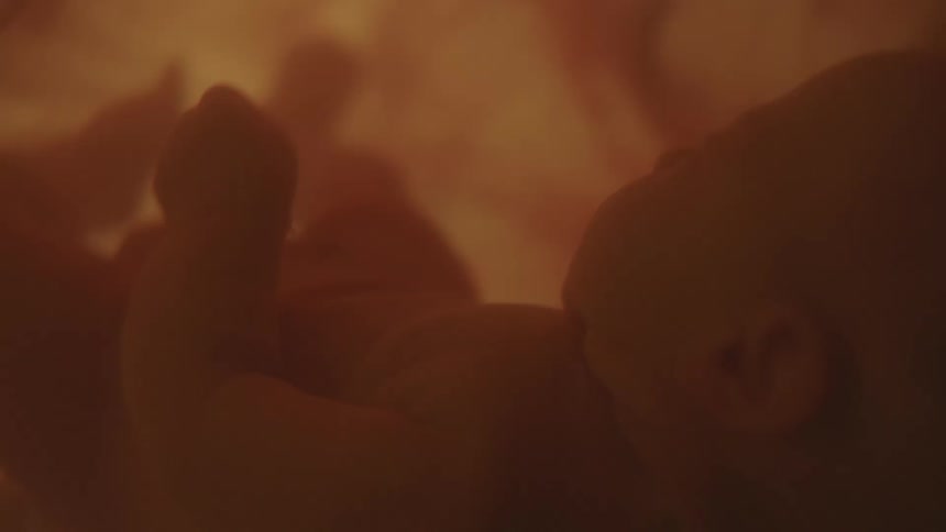 Amniotic fluid surrounds the baby in the womb