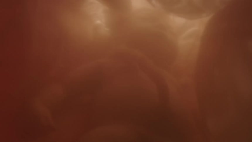 Unborn baby with umbilical cord in the womb
