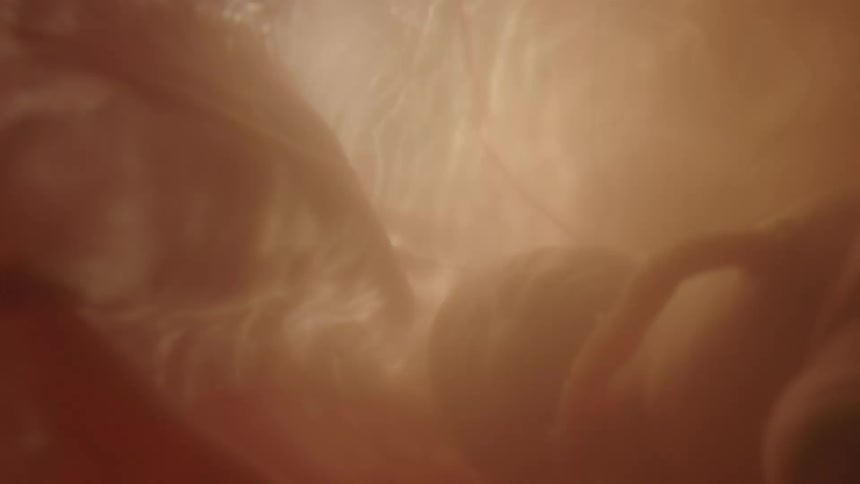 An unborn baby floats in fluid as light shimmers and glows