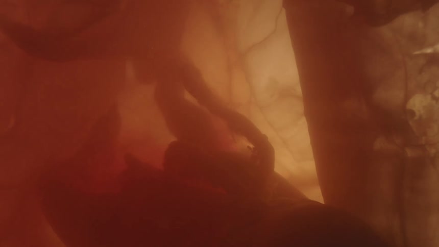 A fetus floating in utero