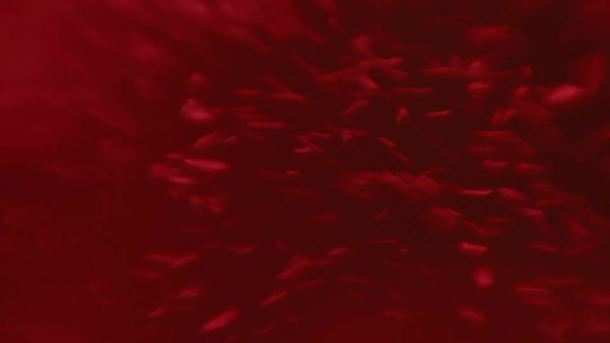 Red bubbling liquid