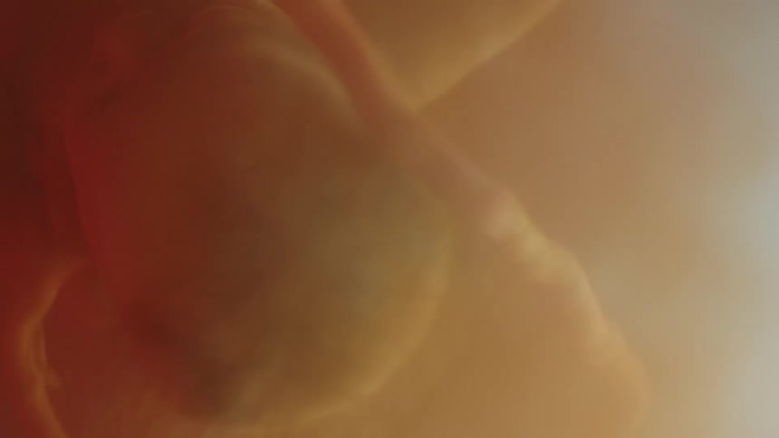 Unborn baby with the cord wrapping around the babys neck in the womb