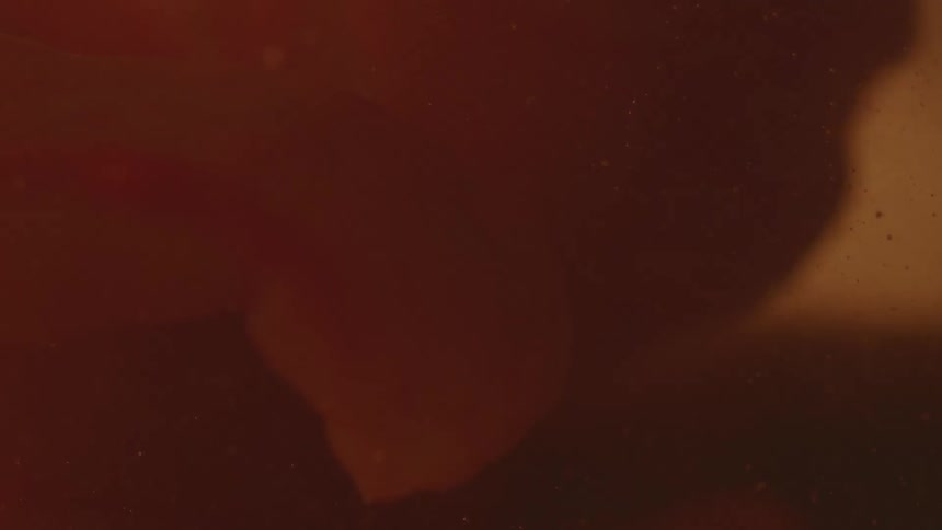 Close up of unborn baby in the womb