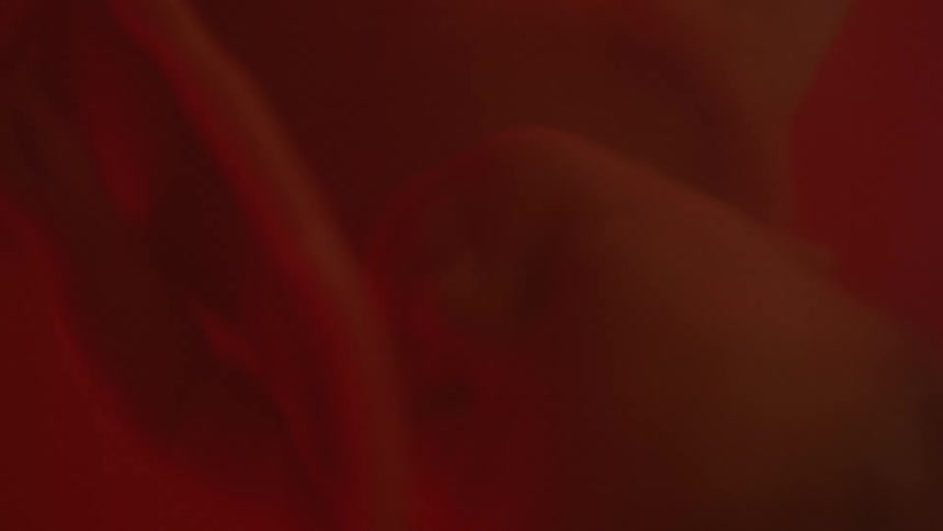 A fetus can be seen floating inside of a uterus full of amniotic fluid