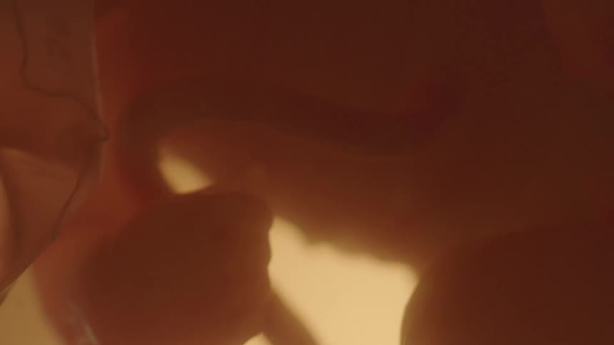 Unborn baby with the umbilical cord in the womb