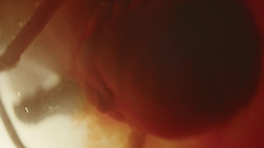 Close up of unborn babys face and umbilical cord in the womb