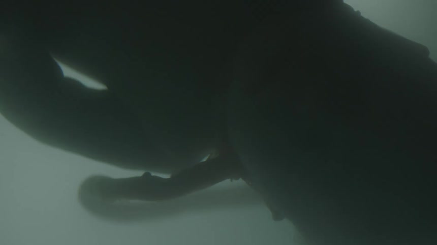 A baby floats in liquid in gray and white lights