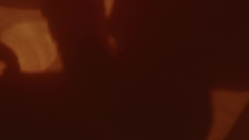 Unborn baby is silhouetted in the womb