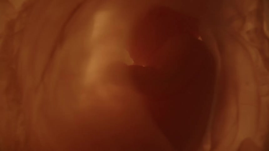 A developing fetus in a uterus is bumped around during contractions