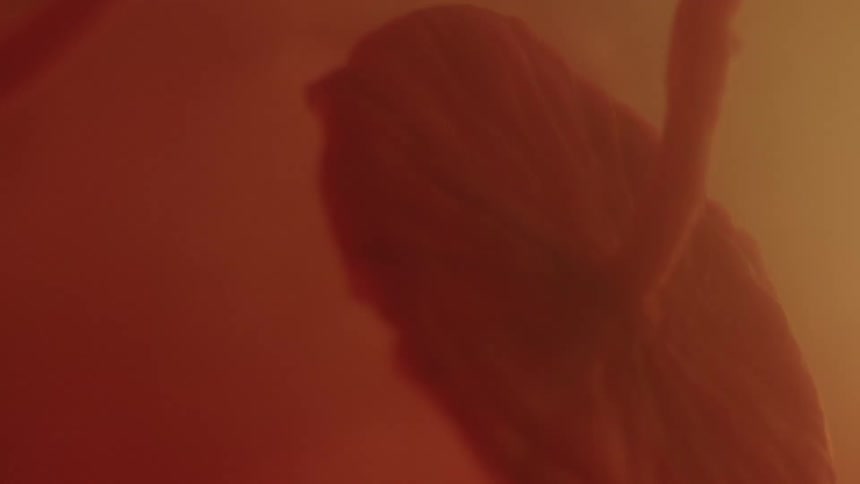 A placenta and umbilical cord floating in utero