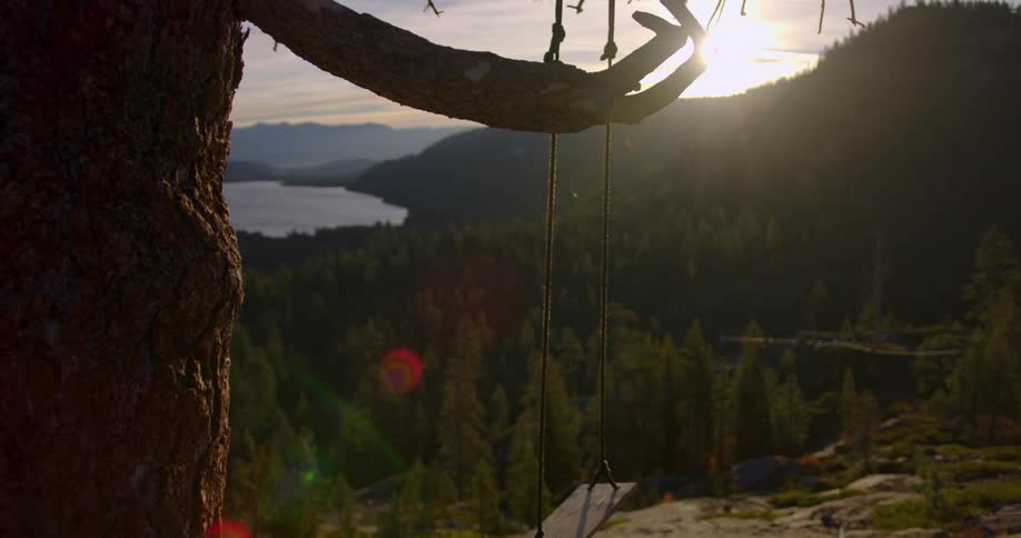 Sunlight shining on a swing hanging from a tree branch in a forest