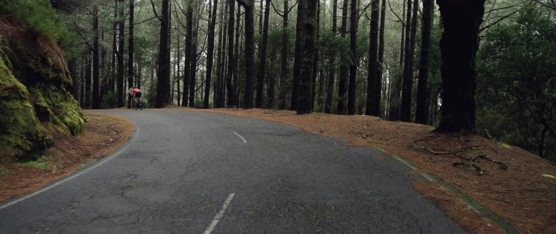 A person rides a bicycle on a remote rural road surrounded by trees