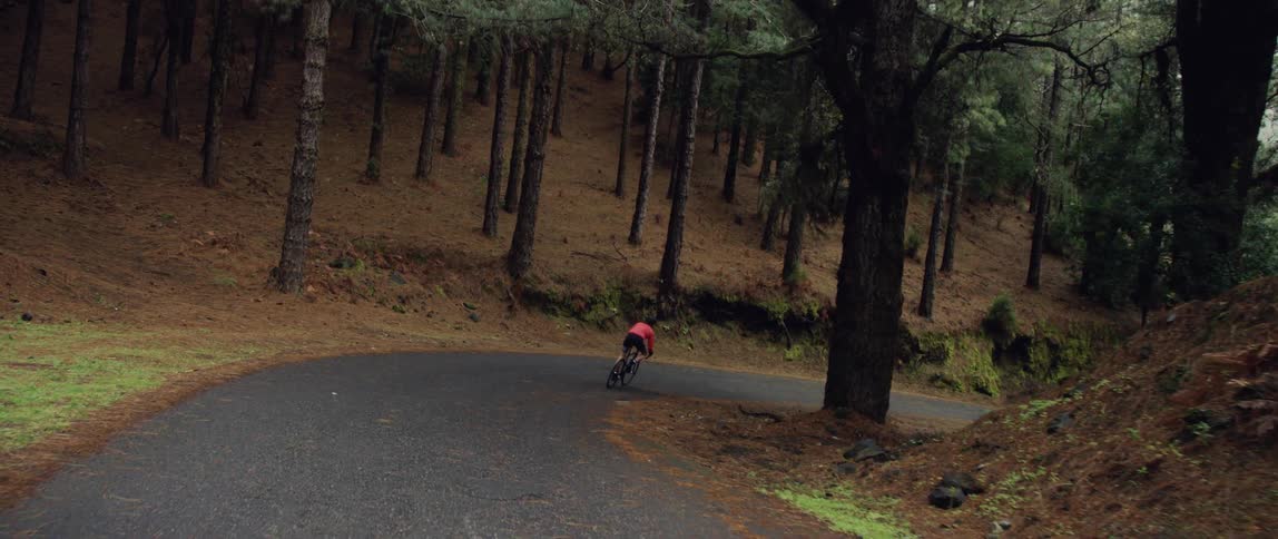 Cyclist rides a bicycle on a paved road down hill through the forest
