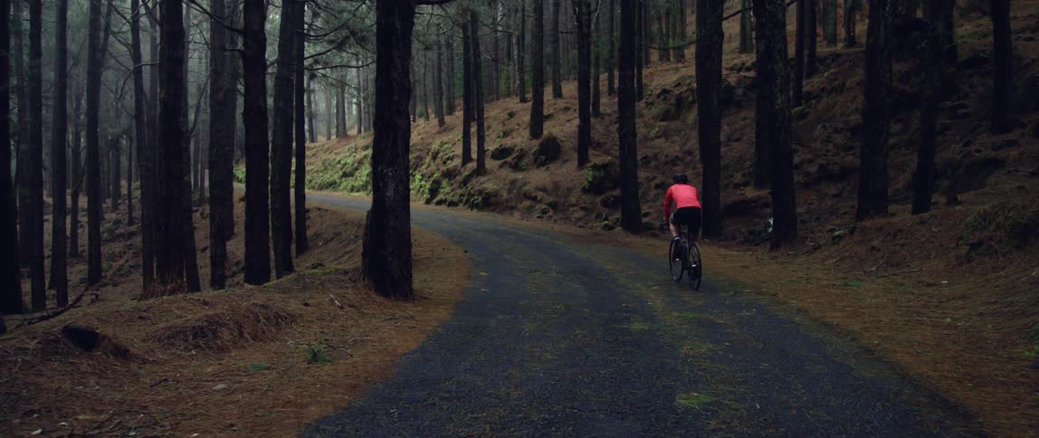 cyclist riding a gravel road bike up hill through a forest road