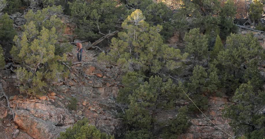A man pulls on a rope over trees