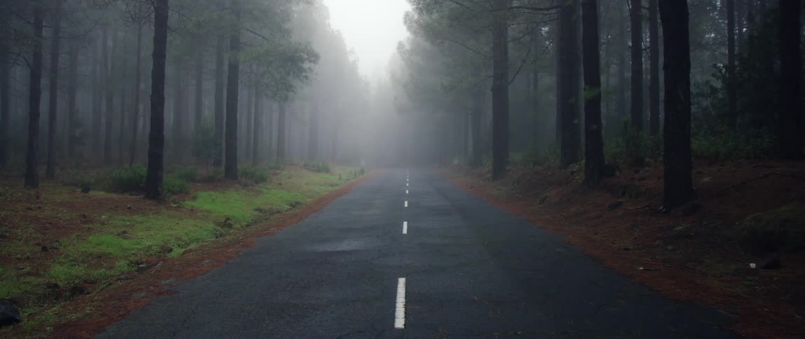 push in on a foggy forest asphalt road with sun peering through