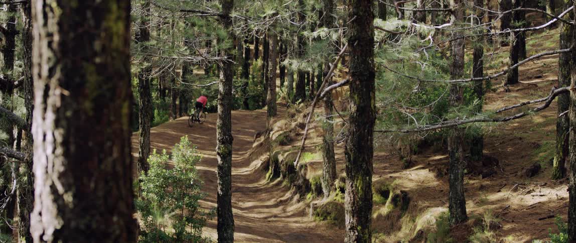 Cyclist riding bicycle up hill on dirt forest path