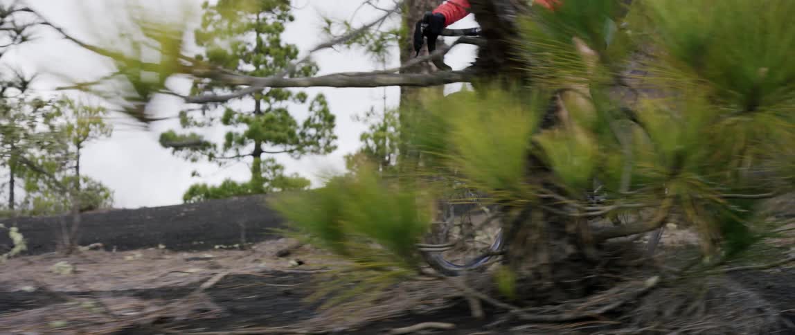 Cyclist maneuvers and steers bicycle through wooded area