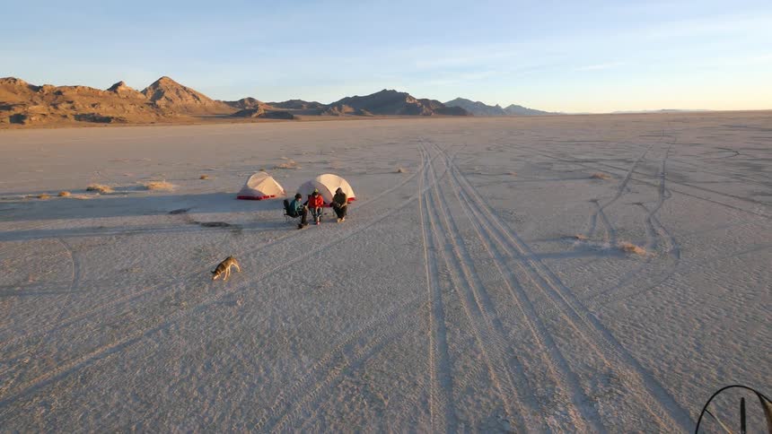 A dog runs around people a campsite in the desert